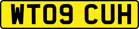 WT09CUH