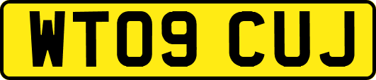 WT09CUJ
