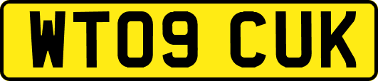 WT09CUK