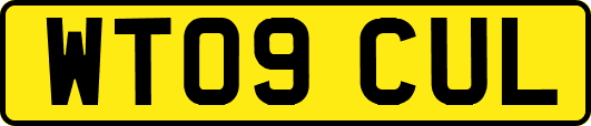WT09CUL
