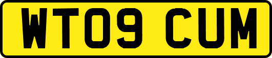 WT09CUM