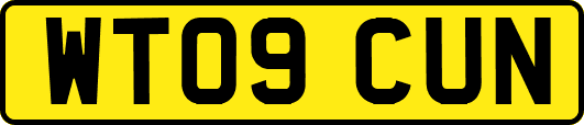 WT09CUN