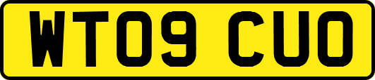WT09CUO