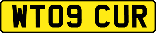 WT09CUR