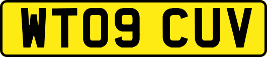 WT09CUV