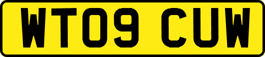 WT09CUW