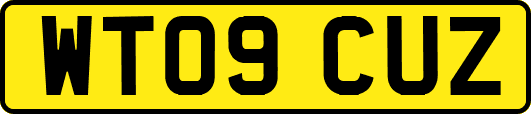 WT09CUZ