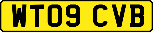 WT09CVB