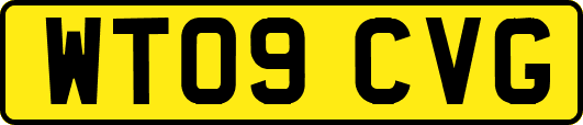 WT09CVG