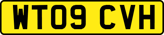WT09CVH