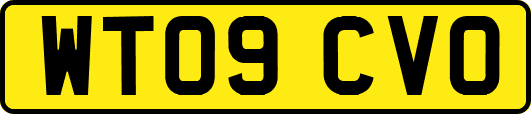 WT09CVO