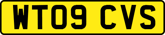 WT09CVS