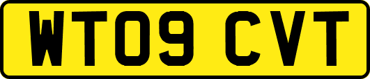 WT09CVT
