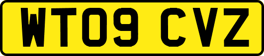 WT09CVZ