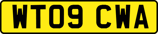WT09CWA