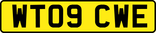 WT09CWE
