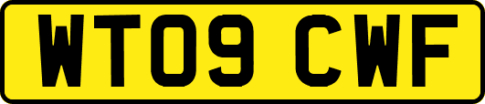 WT09CWF