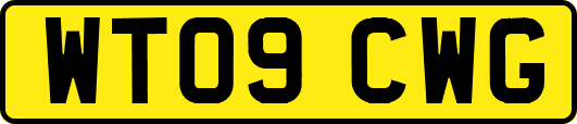 WT09CWG