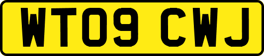 WT09CWJ