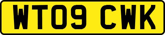 WT09CWK