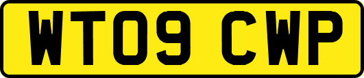 WT09CWP