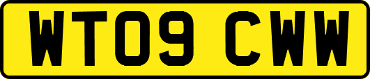 WT09CWW