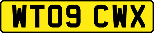 WT09CWX