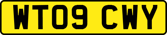 WT09CWY