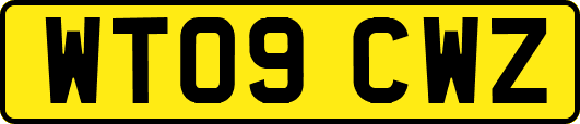 WT09CWZ