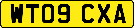 WT09CXA
