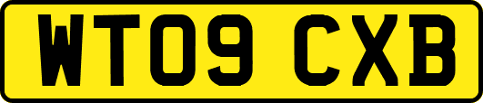 WT09CXB