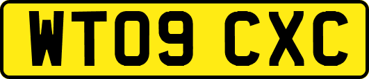 WT09CXC