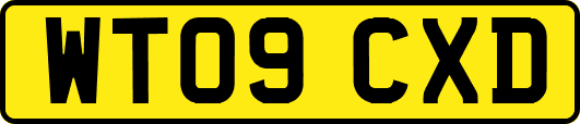 WT09CXD