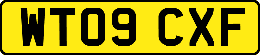 WT09CXF