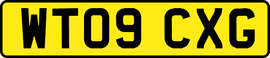 WT09CXG