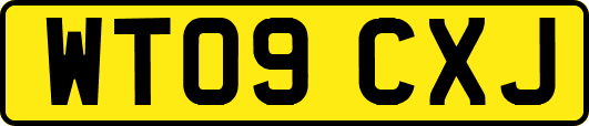 WT09CXJ