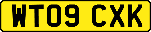 WT09CXK