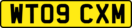 WT09CXM