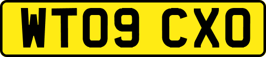 WT09CXO