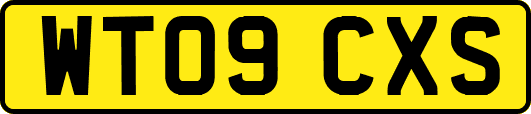 WT09CXS