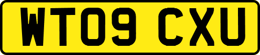 WT09CXU