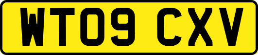 WT09CXV