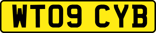 WT09CYB