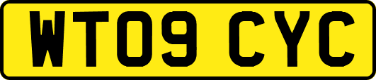 WT09CYC