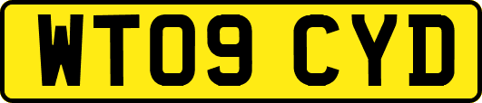 WT09CYD