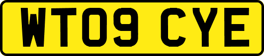 WT09CYE
