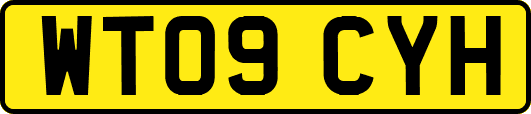 WT09CYH