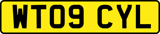 WT09CYL