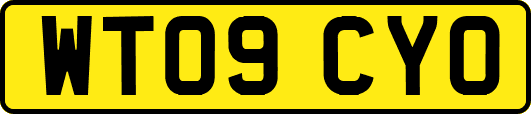 WT09CYO