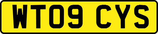 WT09CYS